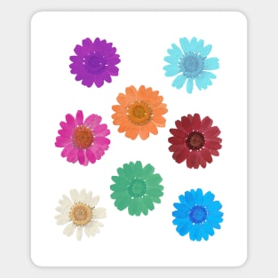 Watercolor Flowers, Colorful Floral Design for Nature Lover Magnet